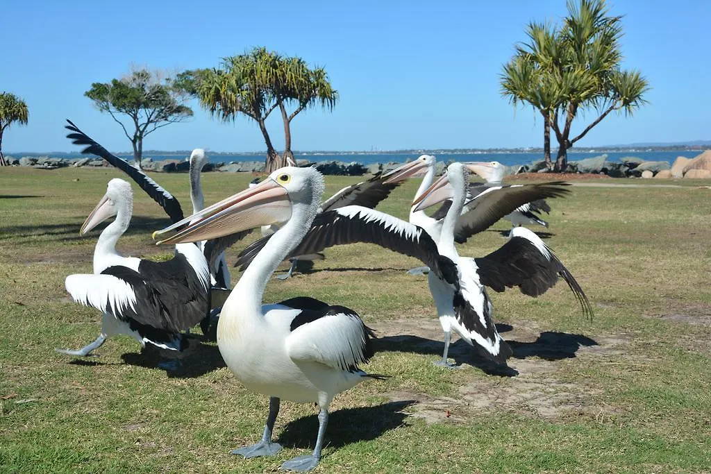 Beachhouse Bed And Breakfast Redcliffe